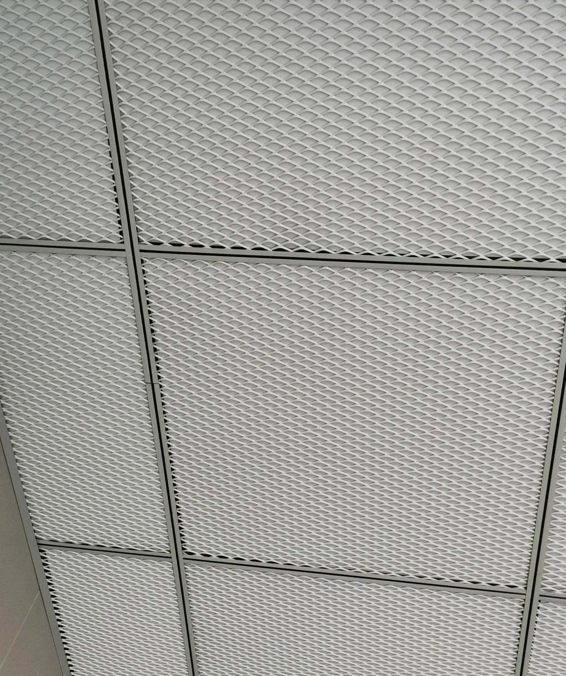 Close view of white perforated ceiling panels and grid joints